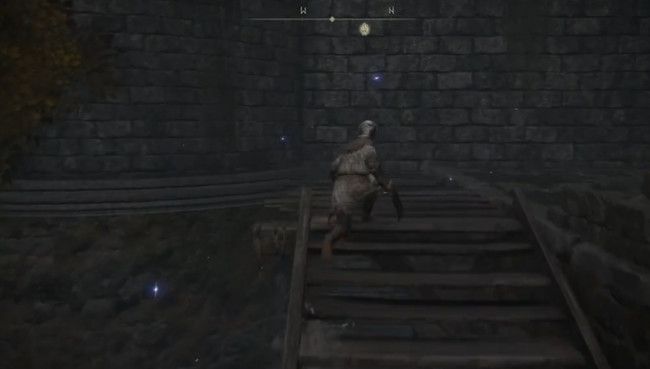 老头环禁卫骑士罗蕾塔在哪_寻找罗蕾塔艾尔登法环世界中的卫骑士