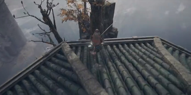 老头环狮子混种在哪_艾尔登法环中的狮子混种出现在哪里