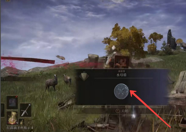 老头环水母怎么获得_如何在游戏艾尔登法环中获得水母