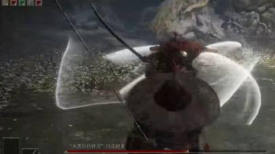 艾尔登法环水鸟乱舞怎么躲_不羁老者避险艾尔登法环