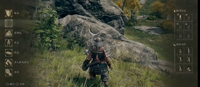 老头环能双人同屏吗