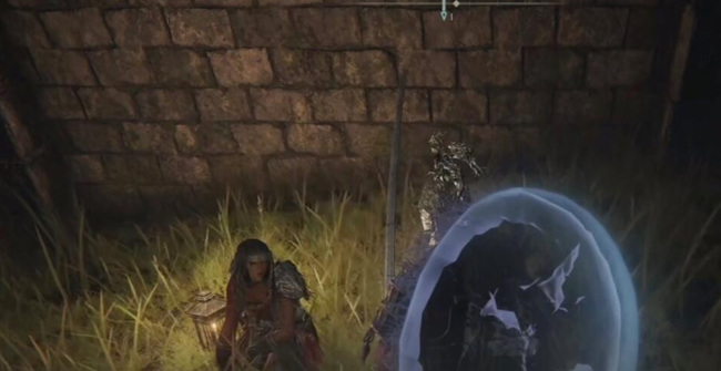 老头环涅菲丽在哪儿_艾尔登法环探寻涅菲丽的下落