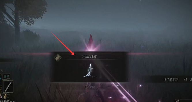 艾尔登法环卡利亚城寨怎么打_老头在卡利亚城寨中使用艾尔登法环发起攻击