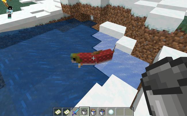 mc我的世界怎样捕活鱼