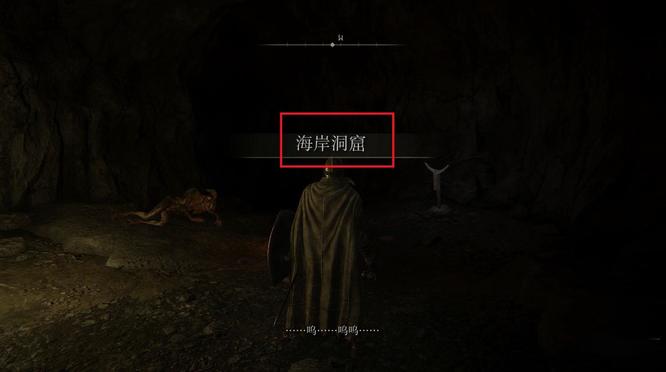 老头环 为什么要装作没有看见_为什么在游戏中要装作没有看见