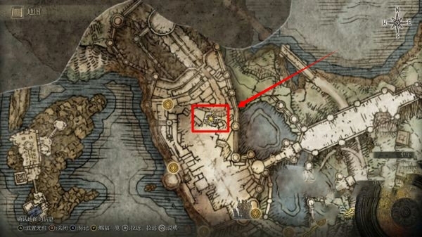 老头环涅斐丽在哪里