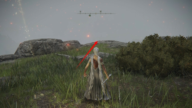 老头环 盲女女巫支线怎么做_艾尔登法环游戏中如何完成盲女女巫支线