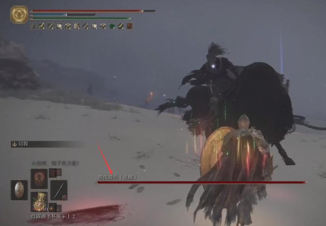 艾尔登法环化圣雪原有什么好东西_艾尔登法环中老头环化圣雪原的宝藏