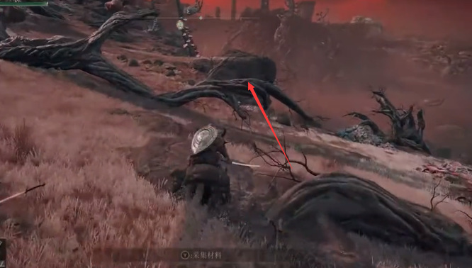 艾尔登法环粪金龟护符怎么拿_怎样拿到艾尔登法环中的老头环护符