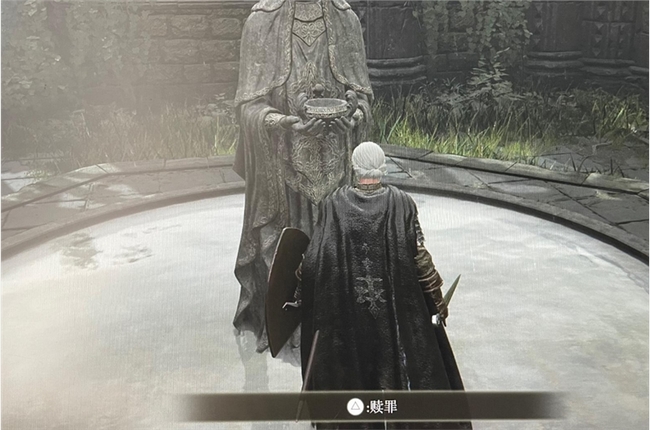 老头环赎罪什么意思