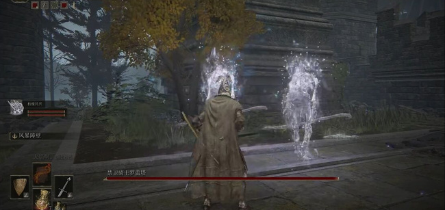 老头环近卫骑士罗蕾塔怎么打