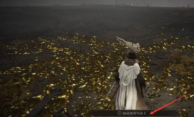 老头环结局怎么选_艾尔登法环如何做出最佳结局