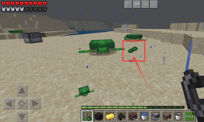 mc海龟碎片怎么收集_如何收集我的世界中的海龟碎片