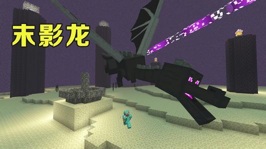 mc我的世界八种龙谁最强