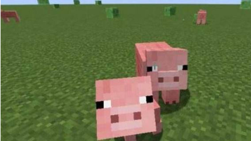 mc我的世界里猪是吃什么