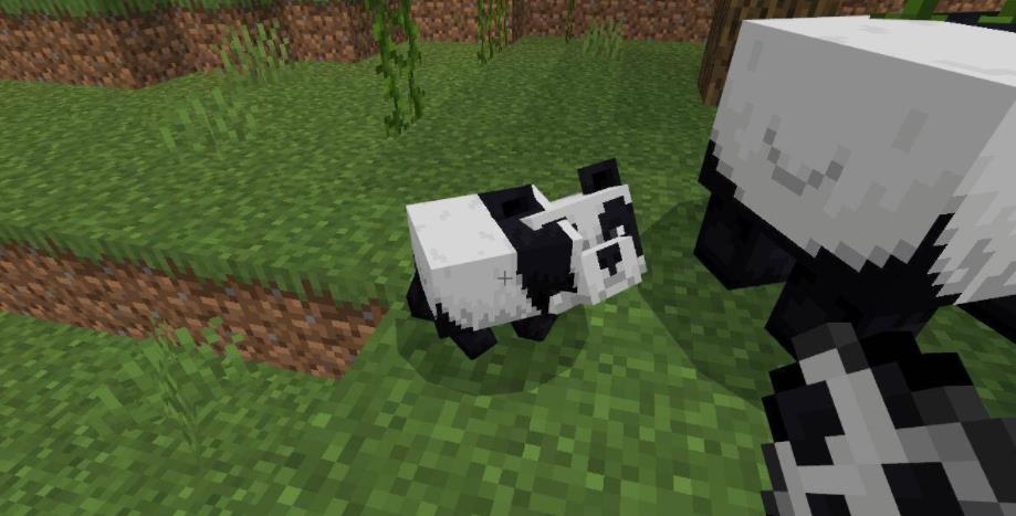 mc我的世界史莱姆物语粘液球怎么获得_世界史莱姆物语中的粘液球获得方法