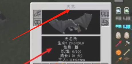 mc我的世界冰与火怎么打开龙的装备页面_冰与火龙的装备页面开启攻略