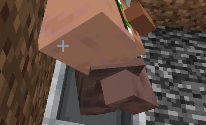 mc我的世界如何诱拐村民_如何在我的世界中抓住村民