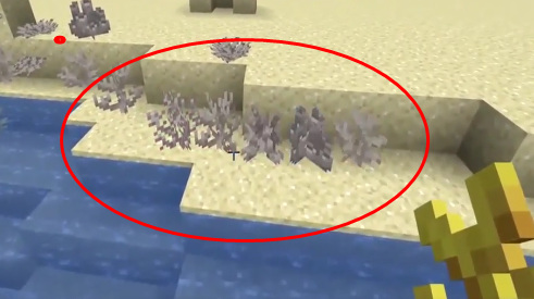 mc我的世界珊瑚怎么挖_如何在我的世界中挖取珊瑚