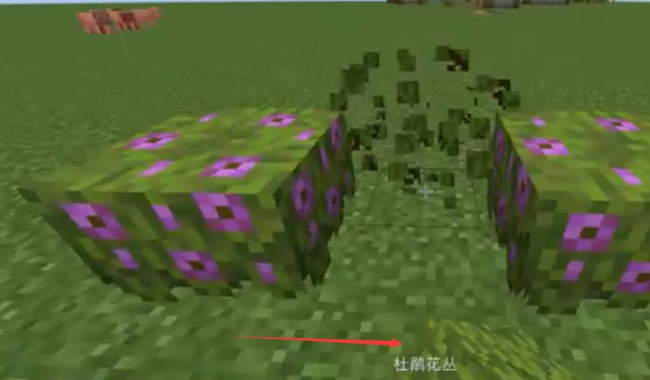 mc我的世界1.17杜鹃树怎么找_我的世界1.17寻找杜鹃树攻略