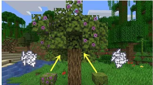 mc我的世界杜鹃花树在哪个地形