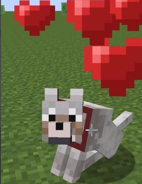 mc我的世界狗怎么生小狗_我的世界中如何繁殖狗狗