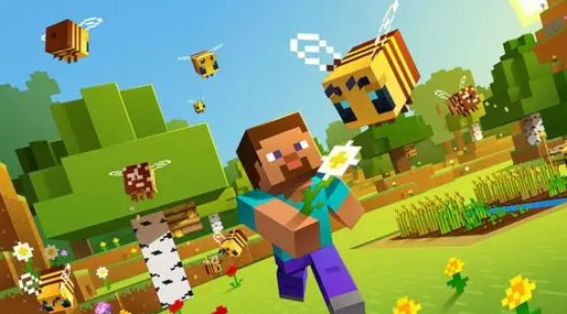 Java版Minecraft进度钻石护体的游戏内描述和实际需求是什么如何完成