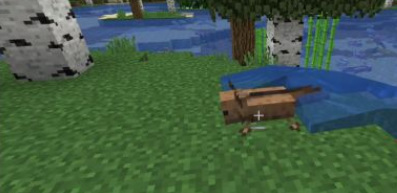 mc我的世界蝾螈怎么驯服_蝾螈驯服攻略