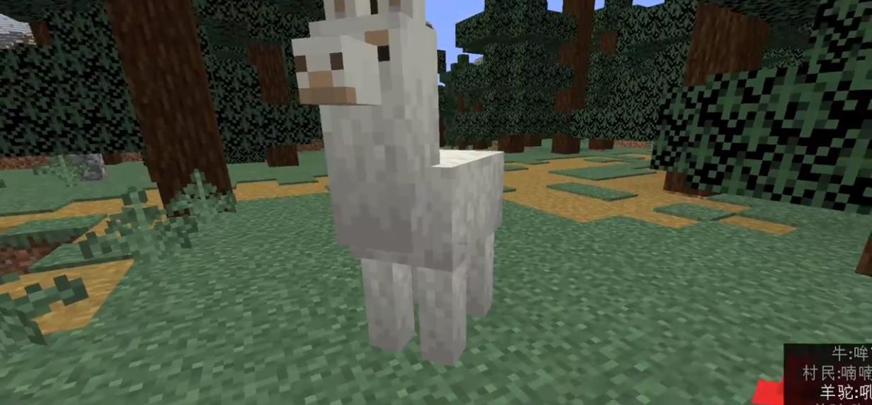 mc我的世界羊驼怎么放箱子