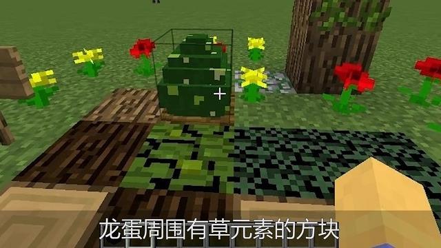mc我的世界怎么激活龙蛋_激活龙蛋的方法我的世界