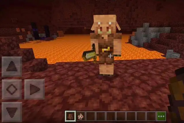 mc我的世界猪灵怎么找