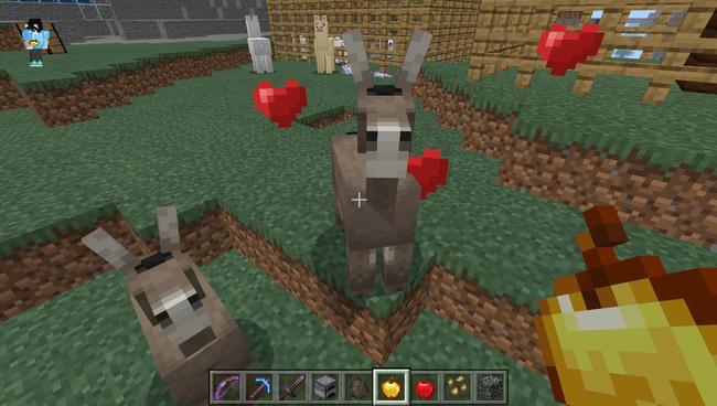 mc我的世界里面的驴怎么繁殖