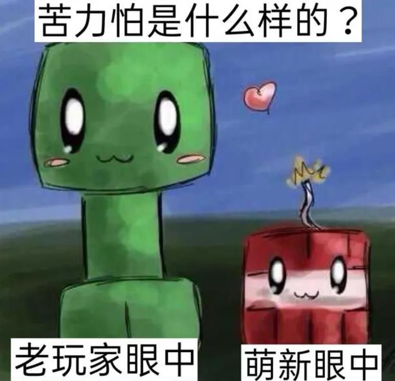 如何辨认mc我的世界萌新