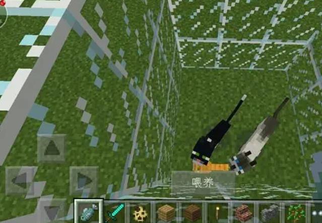 mc我的世界猫吃什么