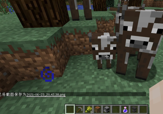 mc我的世界牛怎么繁殖下一代_如何繁殖我的世界里的牛