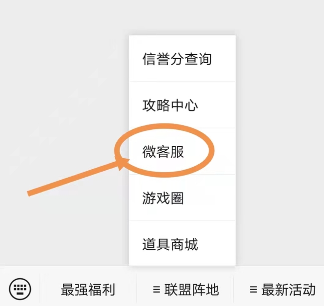 掌盟客服如何联系_英雄联盟手游怎么联系掌盟客服