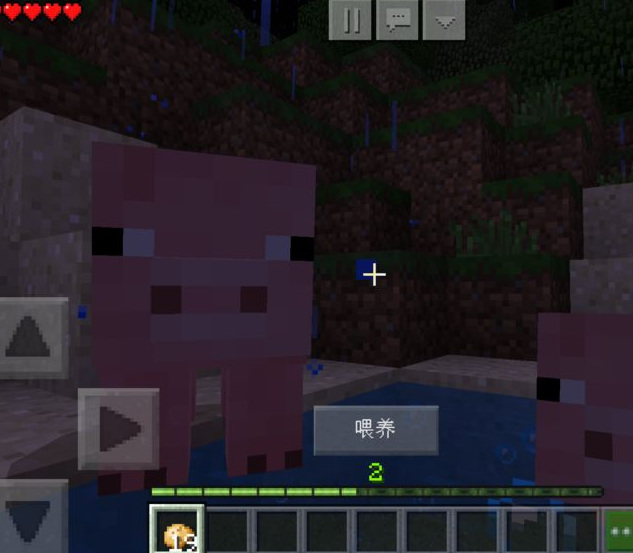 mc我的世界怎么养猪_我的世界如何繁殖猪
