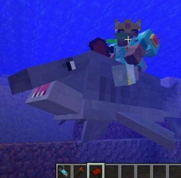 mc我的世界海豚怎么驯服