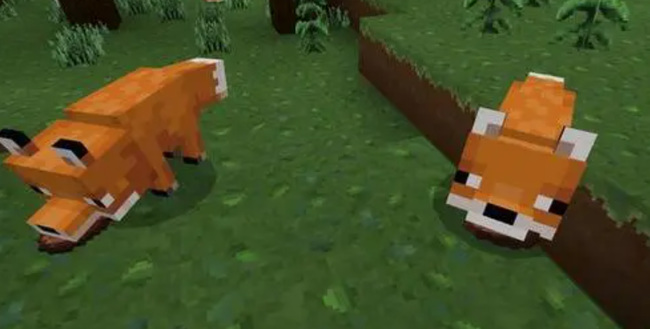 mc我的世界狐狸能干嘛