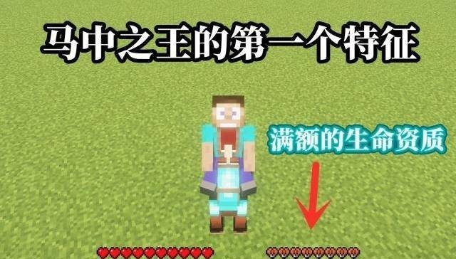 mc我的世界极品马的特点是什么
