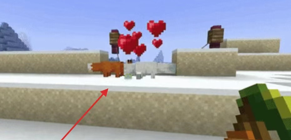 mc雪狐怎么驯服_如何在我的世界中驯服雪狐