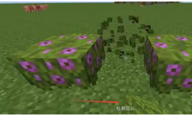 mc我的世界发光杜鹃花怎么发光