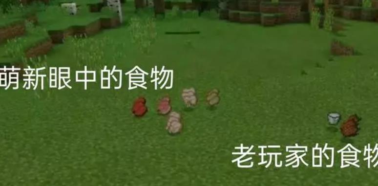 如何辨认mc我的世界萌新_如何识别我的世界中的新手玩家