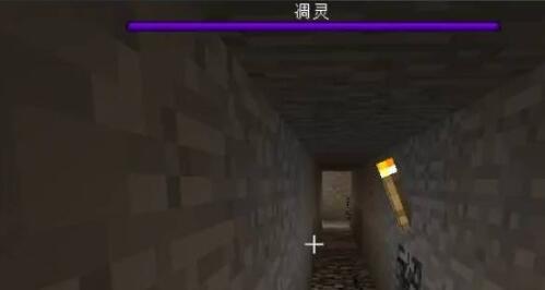 mc我的世界如何进入凋零风暴体内_如何进入我的世界凋零风暴体内