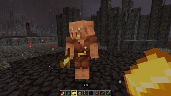 mc我的世界猪灵喜欢什么