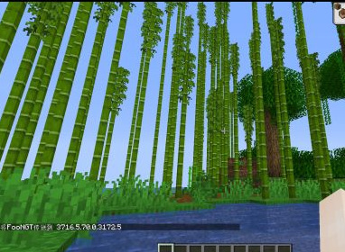 mc我的世界竹林怎么找_寻找我的世界中的竹林