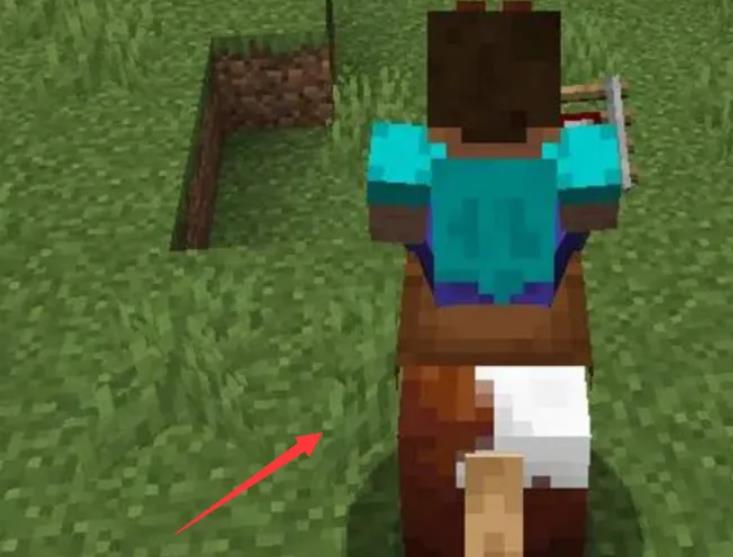 mc我的世界如何上马_如何开始玩我的世界上手指南和技巧分享