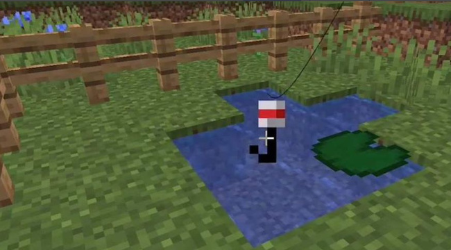 mc我的世界海豚怎么养才不会死