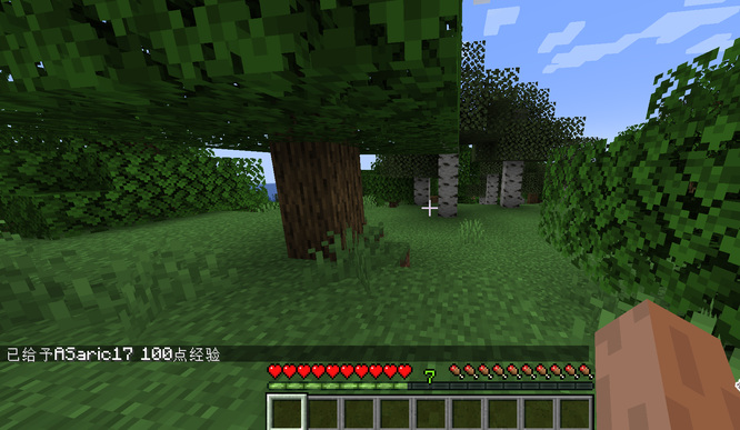 mc我的世界修改等级指令有哪些_游戏攻略我的世界中修改等级的指令有哪些