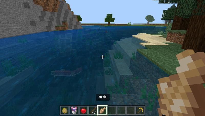 mc钓鱼能钓上来什么_Minecraft中钓鱼能够获得哪些物品